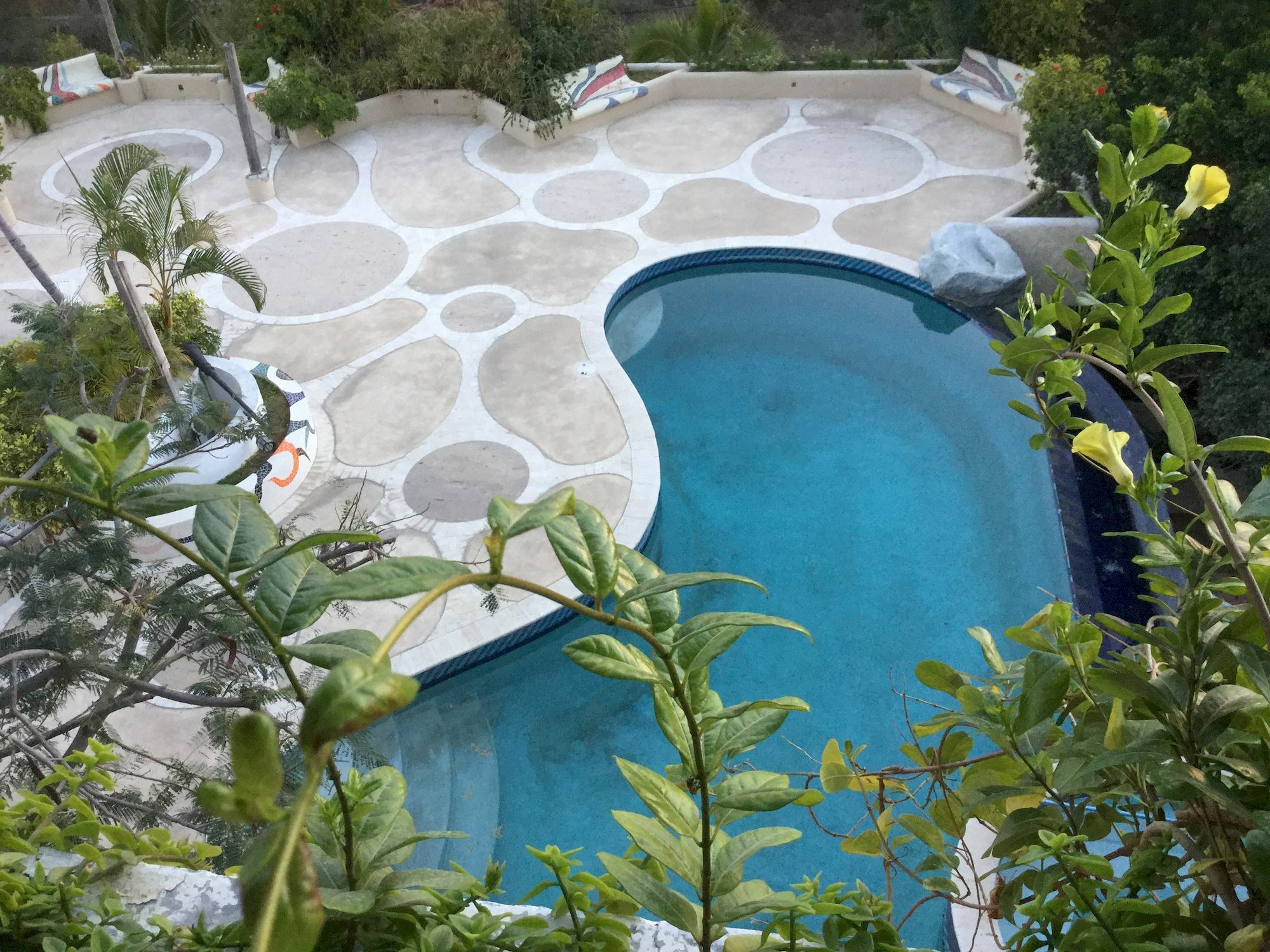 卡波圣卢卡斯Sunrise Cove Luxury Penthouse公寓 外观 照片